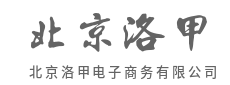 爆款不靠猜，数据说话才稳-北京洛甲电子商务有限公司